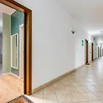 Apartamento Bdc - Cassia Luxury